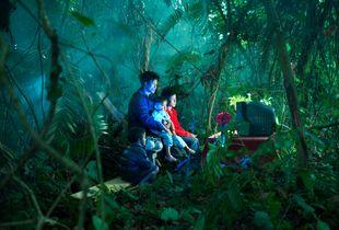 Waiting in the forest