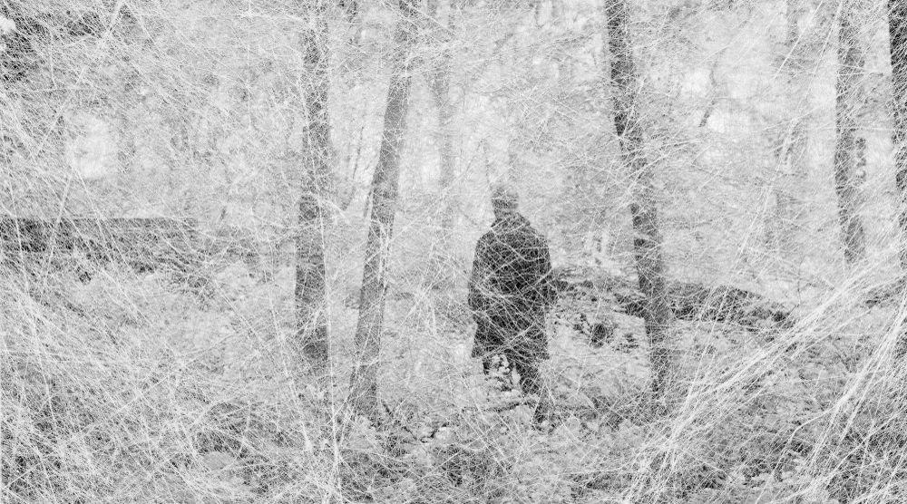 The Disappearance of Joseph Plummer Photographs by Amani Willett