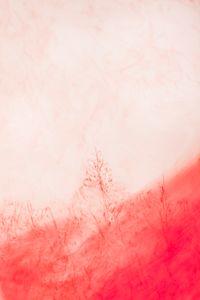 Red #1, 2014
