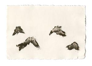 Untitled (2), from the series “Just Like Me But Different,” 2017 © Fiona Streungman, courtesy of A.I. Gallery