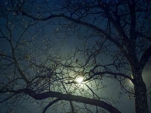Winter Solstice