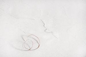 Two pubic hair (one brown, one grey), 2014