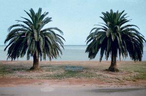 Orbetello, 1974