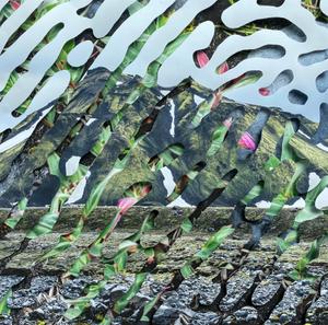 Impression XXI