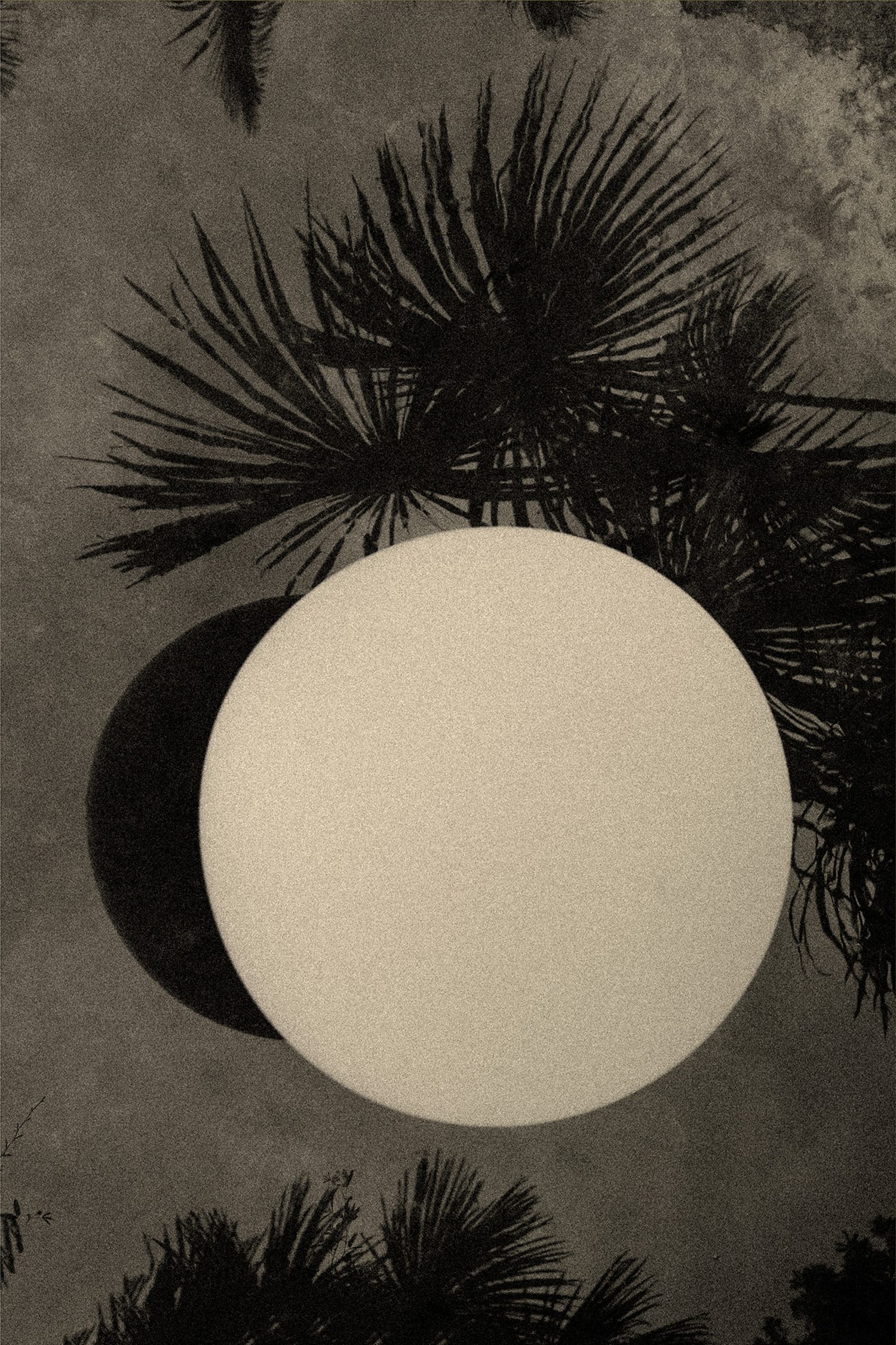 220da31d a805 4f46 9c5b 8d7d4326e58f