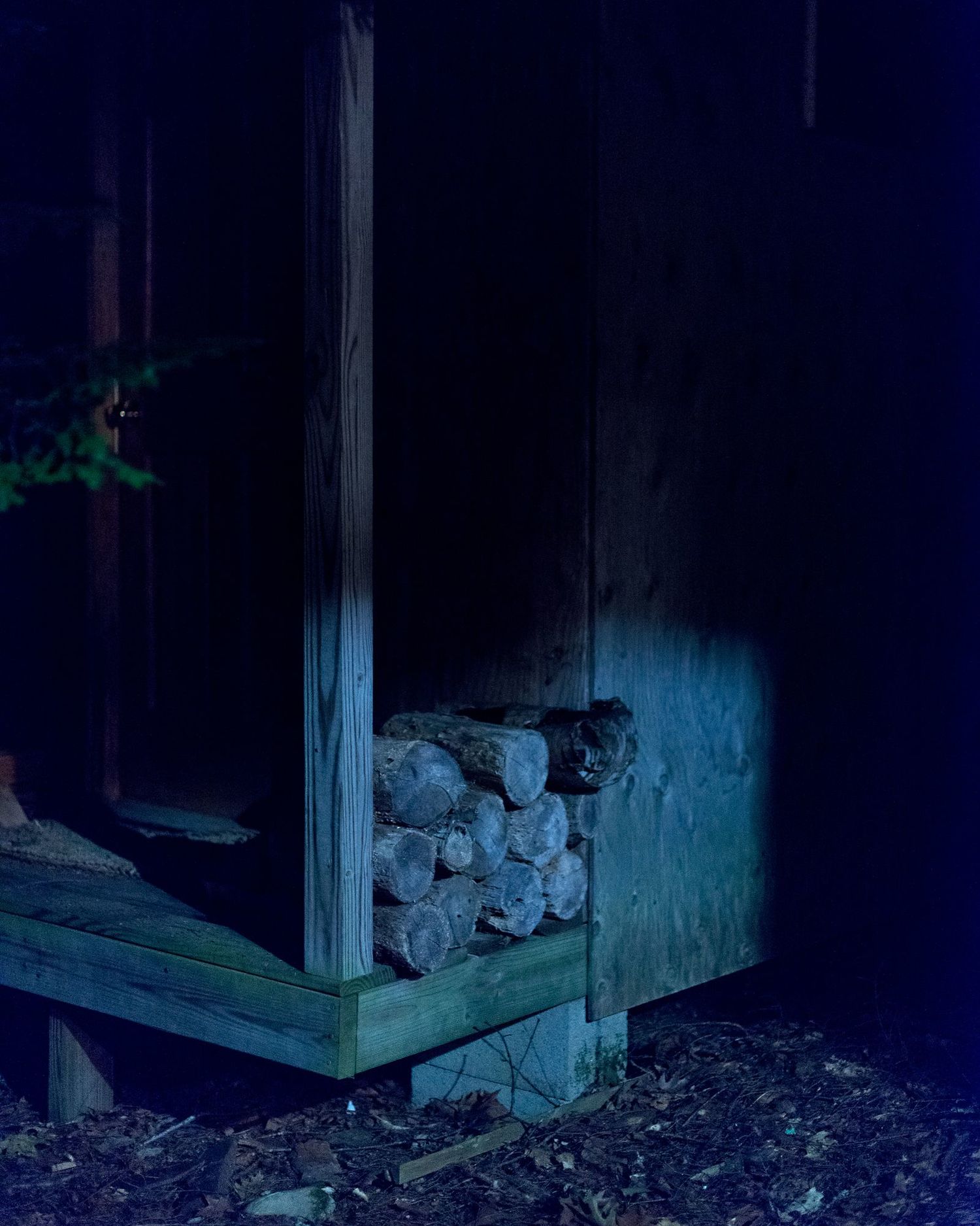 The Disappearance of Joseph Plummer Photographs by Amani Willett