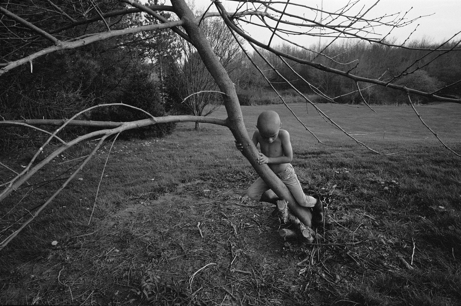 洋書 Jesse Lenz the seraphim The Seraphim - Photographs by Jesse Lenz | Book review by