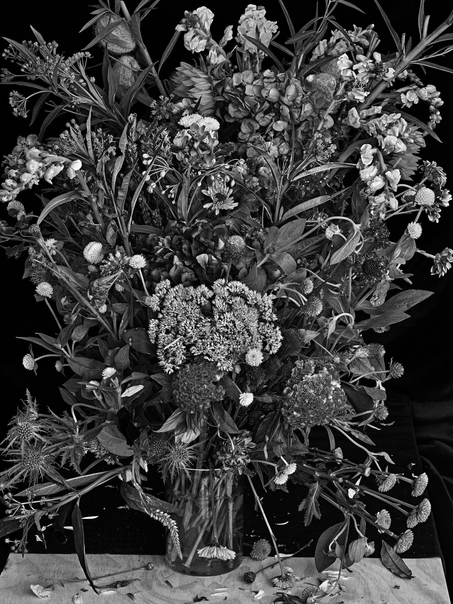 Flowers for Lisa Photographs by Abelardo Morell LensCulture