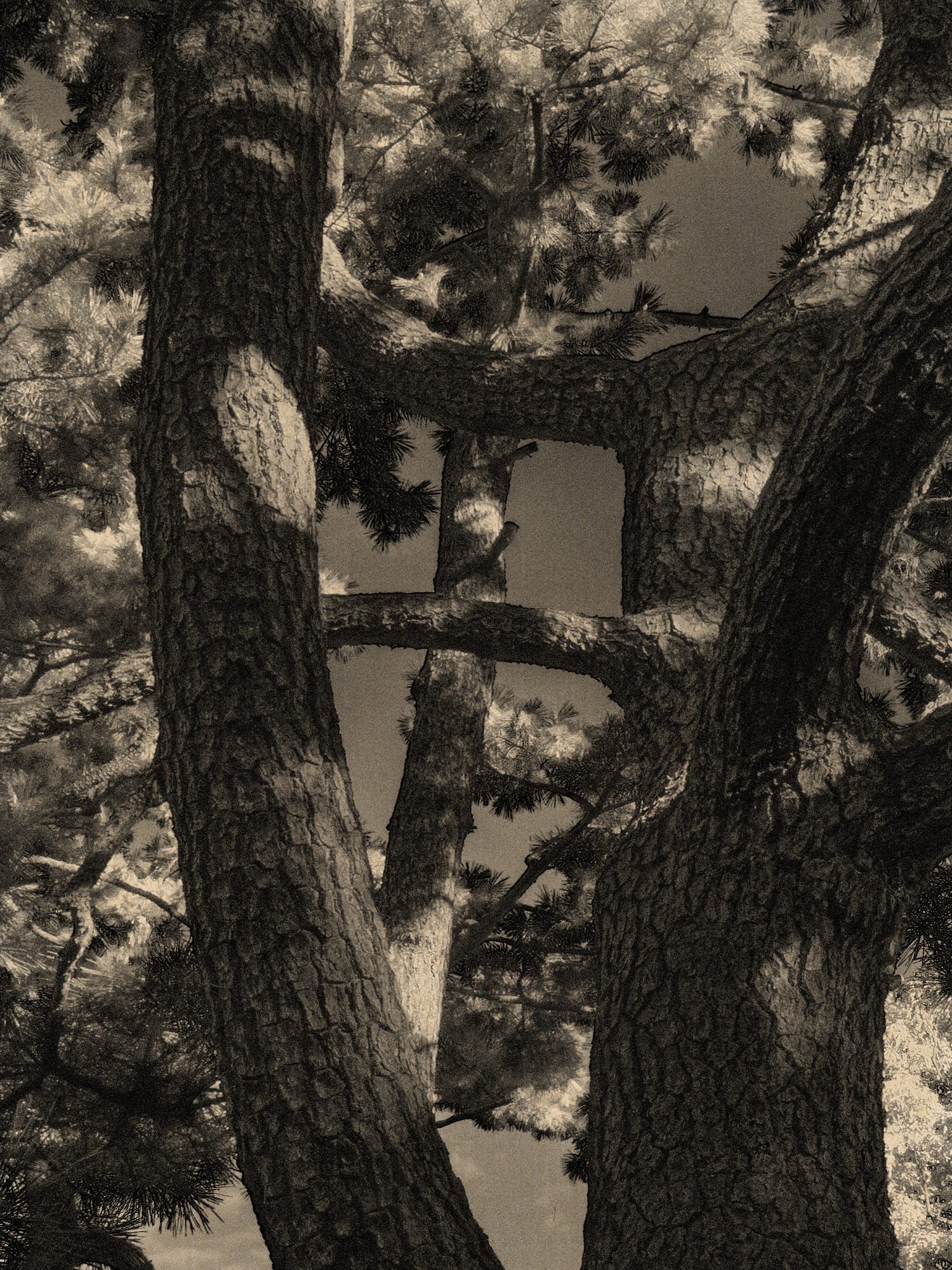 Ac921a05 d10e 48ef 8b3c 84de0c45dca3