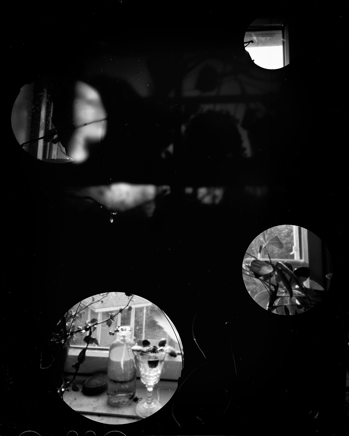 Altered Negatives Photographs by Julie Hamel Text by Magali Duzant