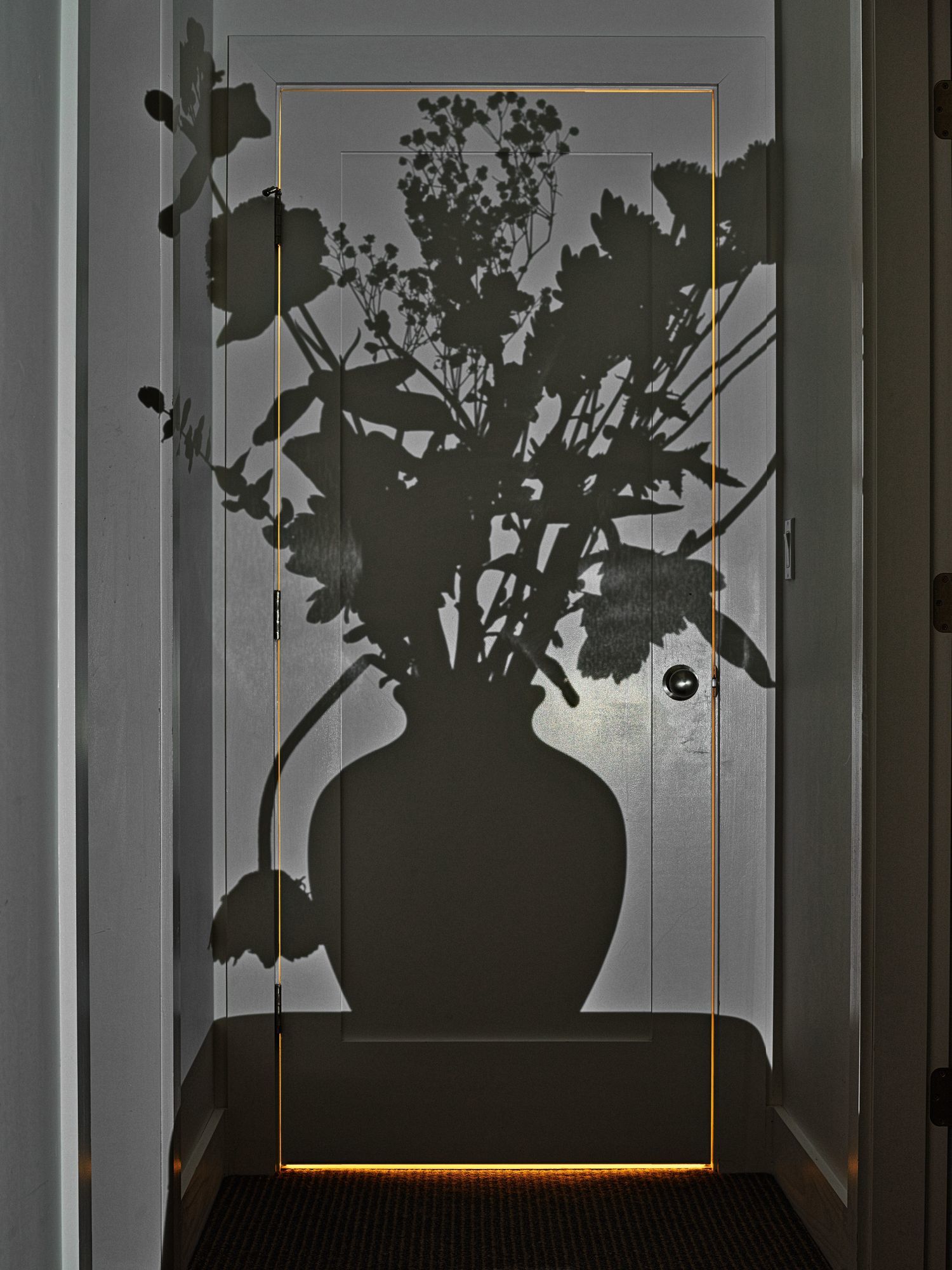 Flowers for Lisa Photographs by Abelardo Morell LensCulture